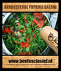 geroosterde-paprika-salade
