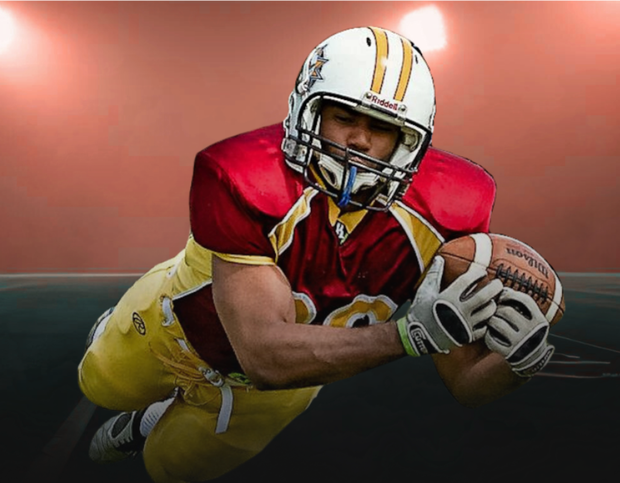 Banner image for: <strong>Hoofdsponsor ALPHEN EAGLES</strong>