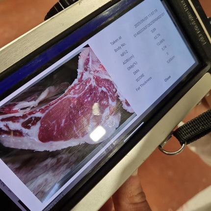 El Rancho El Rancho - Bavette / Flapmeat