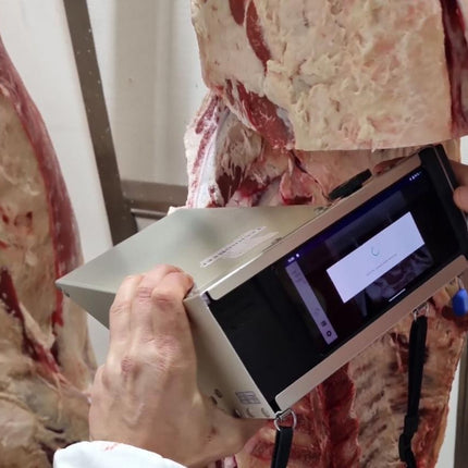 El Rancho El Rancho - Ossenhaas puntjes