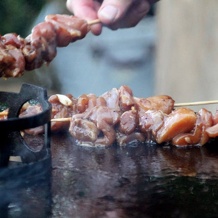 Petromax Petromax - Pyron Vuurton