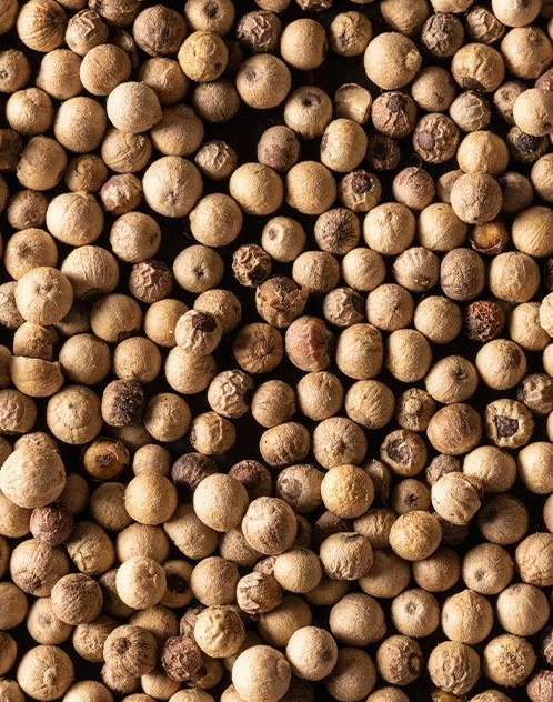 Peugeot France Peugeot France Sarawak witte peper uit Maleisië