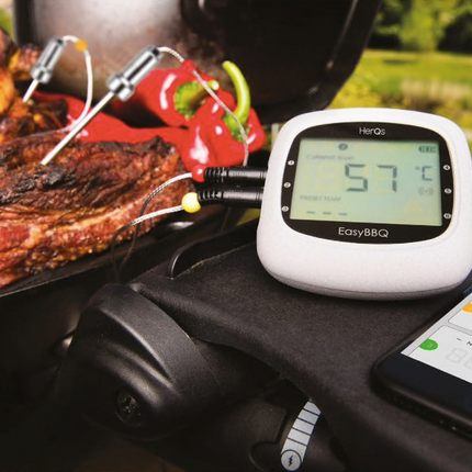 Easy Pro BBQ Thermometer