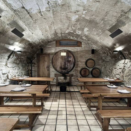 Heatstrip Design Heatstrip Design 2400 watt remote & app