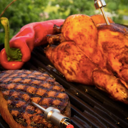 HerQs HerQs - Easy Pro BBQ Thermometer