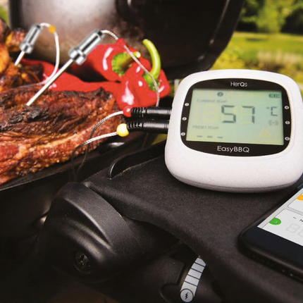 HerQs HerQs - Easy Pro BBQ Thermometer