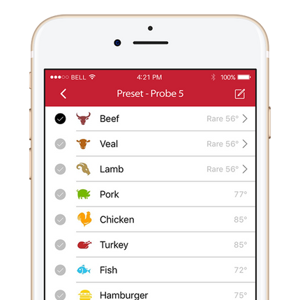 HerQs HerQs - Easy Pro BBQ Thermometer