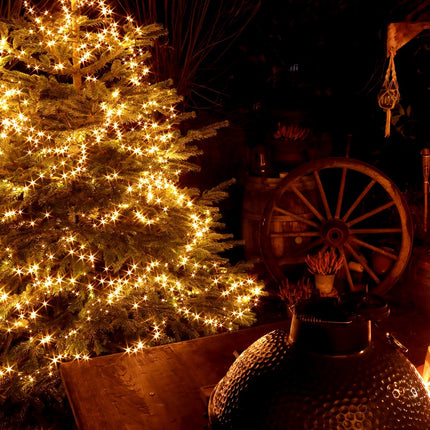 Waards rund Beef Wellington