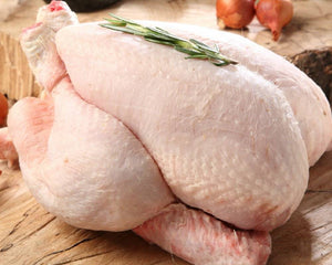 Wild Wild - Kalkoen - Turkey